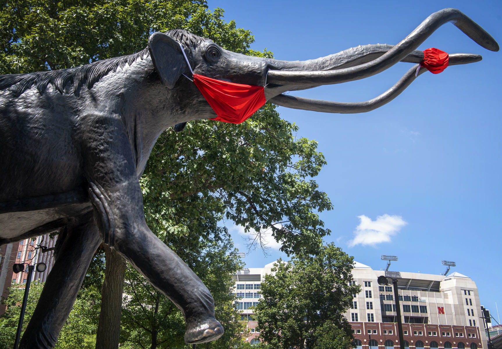 Masked Archie the Mammoth